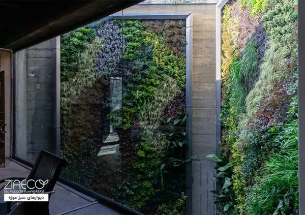 دیوار سبز نمدی یا کیسه ای