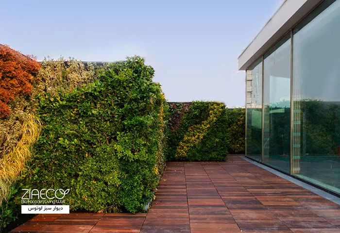 انواع خدمات اجرای دیوار سبز حیاط