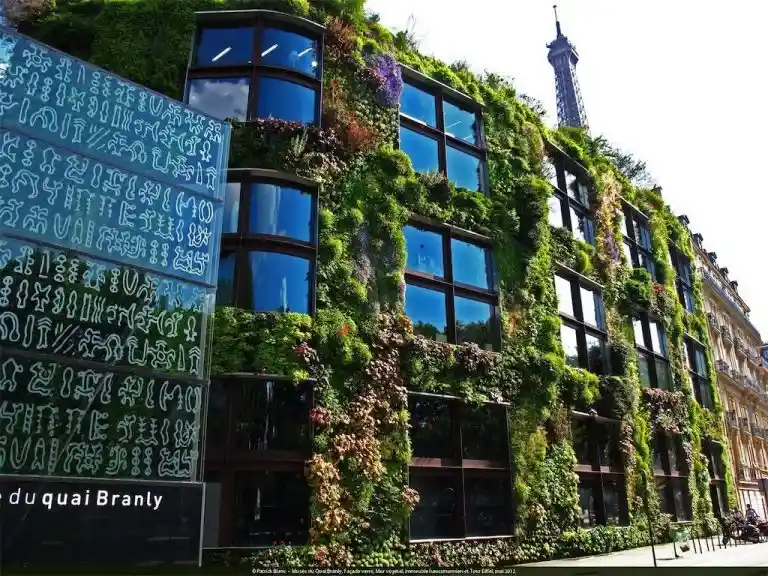 انواع دیوار سبز